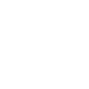 Data Management and Network Systems Icon